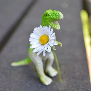 Meet your Posher, Kendra